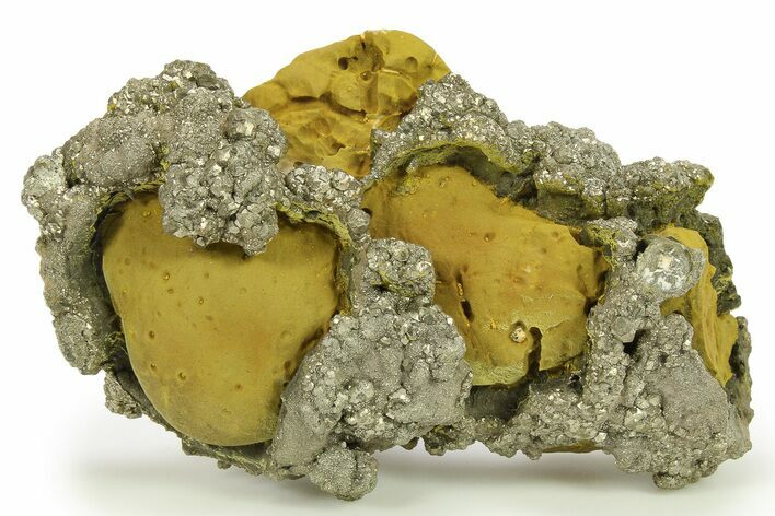 Golden Pyrite on Limonite Clay - Pakistan #283741